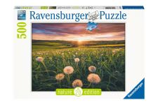 Ravensburger 500 Teile Puzzle Pusteblumen im Sonnenuntergang