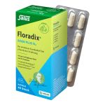 Floradix Eisen plus B12 vegan Kapseln