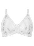 Naturana, Minimizer BH Solution