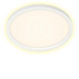 LED Panel, Ø 42,5 cm, 3000 LUMEN, 22 WATT, Weiß