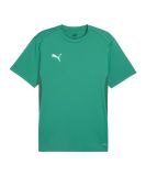 PUMA teamGOAL Trikot Grün F05