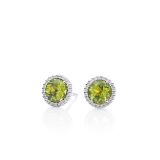 Ohrschmuck von Capolavoro RI8P02395-M