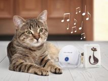 Cat DoorBell-Katzenklingel