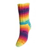 Järbo Raggi Sockengarn 15115 Rainbow Print
