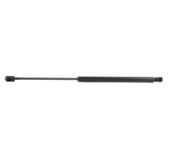 RIDEX Heckklappendämpfer 219G0100 Kofferraum Dämpfer,Gasfeder Heckklappe MINI,Schrägheck (R50, R53),Cabrio (R52)