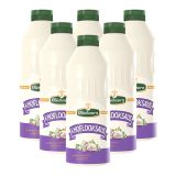 Oliehoorn - Knoblauchsauce - 6x 900ml
