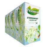 Pickwick - Herbal Sterrenmunt - 4x 20 Teebeutel