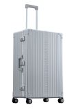 Aleon Macro Traveler 4-Rollen Trolley 30 Zoll mit Kleidersack 76 cm - Platinum