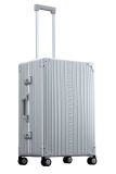 Aleon Traveler Koffer 26  Platin - Silber