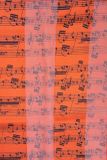 Notenlinen-Schal mit Satinstreifen & orange mit schwarzen Noten