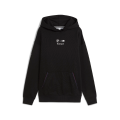 BMW MMS ESS+ Fleecehoodie Damen schwarz