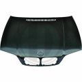 DIEDERICHS Motorhaube 1214100 für BMW 3 Coupe (E46) 3 Cabrio (E46)