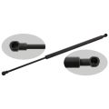 Febi Bilstein Gasfeder, Koffer-/Laderaum Bmw: X5 27594