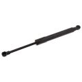 Febi Bilstein Gasfeder, Koffer-/Laderaum Bmw: Z4 40901