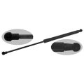 Febi Bilstein Gasfeder, Koffer-/Laderaum Bmw: 6 47051