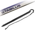 Stabilus  1x Spindelantrieb (POWERISE), Koffer-/Laderaum hinten rechts Bmw: X3 228030