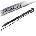 Stabilus  1x Spindelantrieb (POWERISE), Koffer-/Laderaum hinten links Bmw: X3 550680