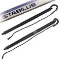 Stabilus  2x Spindelantrieb (POWERISE), Koffer-/Laderaum hinten links recht Bmw: X3 550