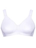 Viania, Sport BH Workout
