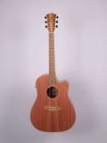 Cole Clark FL2EC-RDBL incl. Koffer
