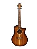 Cole Clark AN2EC-BLBL-Sun incl. Koffer