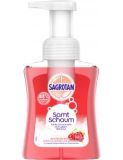 Sagrotan Samt-Schaum Seife Kirschblüte & Rose