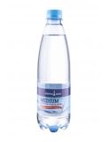 Küstengold Mineralwasser medium PET (Einweg)