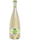 Käfer Hugo