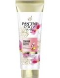 Pantene Pro-V Miracles Colour Gloss Pflegespülung