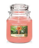 Yankee Candle Duftkerze The Last Paradise 411 g