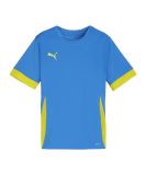 PUMA teamGOAL Matchday Trikot Kids Blau Gelb F16
