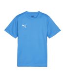 PUMA teamGOAL Trikot Kids Blau F02
