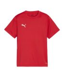 PUMA teamGOAL Trikot Kids Rot F01