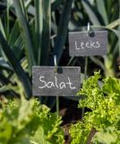 Pflanzschild Schiefer mit Gartenstecker zum Beschriften von Pflanzen, Kräutern