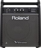 Roland PM-100 V-Drum Monitor