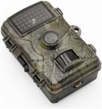 TX-256 Wildcam Wildüberwachungskamera