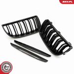 ESEN SKV Kühlergitter 66SKV092 beidseitig Carbon für BMW 51712151896 51137120007 51137120008