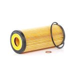 PURFLUX Ölfilter BMW,FIAT,ALFA ROMEO L347 AC6289E,11427787697,71740470 Motorölfilter,Filter für Öl