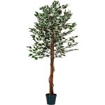 PLANTASIA® Großer grüner Ficus Baum, Kunstbaum, 160cm