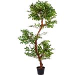 PLANTASIA® Schnurbaum, Sophora Kunstbaum, 160cm