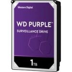 Purple 1 TB, Festplatte