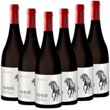 NOMAD Pinot Noir - 6er Karton