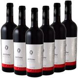 ARTISAN Schwarze Mädchentraube (Feteasca Neagra) DOC - 6er Karton
