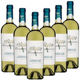 METAMORFOSIS Weiße Mädchentraube (Feteascä Alba) & Sauvignon Blanc - 6er Karton