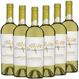 VITIS METAMORFOSIS Muscat Ottonel & Tamaioasä Romaneasca - 6er Karton