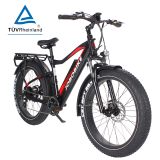E-Bike Robin 26 Zoll Fat-Reifen Elektrofahrrad 7 Gang Shimano Acera Kettenschaltung 250W Heckmotor