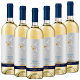 Bio-Grillo Sicilia DOC Colomba Bianca Italien  trocken - 6er Karton