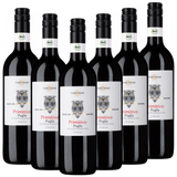 Bio-Primitivo Puglia IGT "TerrAmore" - 6er Karton