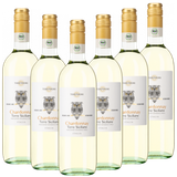 Bio-Chardonnay Terre Siciliane IGT "TerrAmore" Italien  trocken - 6er Karton