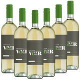 Grüner Veltliner QUW Selection Österreich Niederösterreich - 6er Karton